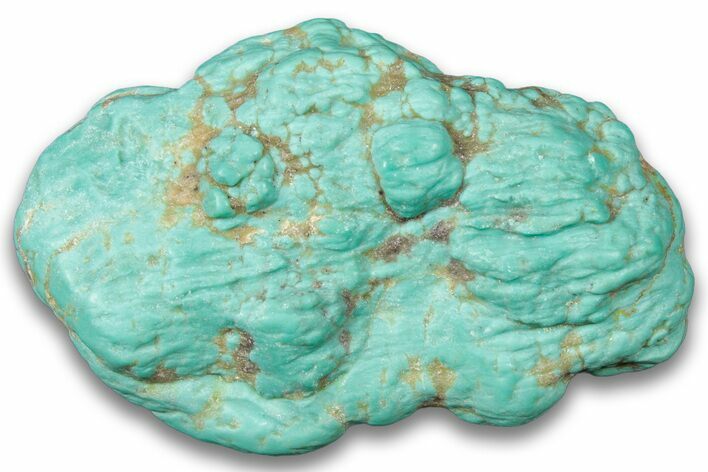 Teal Blue, Chilean Turquoise ( grams) Nugget #323795